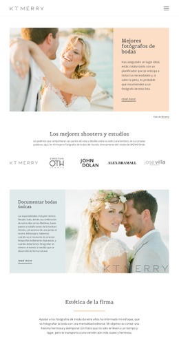 Tiradores Para Bodas Especiales Plantilla Responsiva Html5