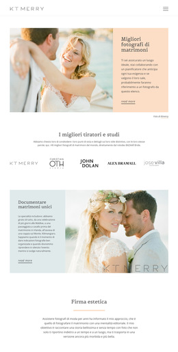 Tiratori per matrimoni speciali Modelli di siti web