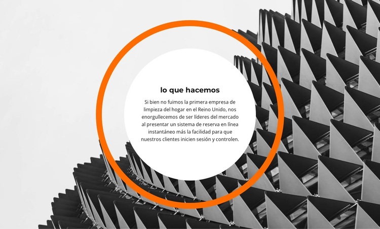 Lo que creamos Tema de WordPress