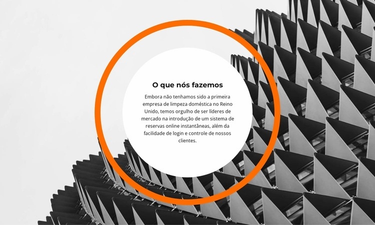 O que criamos Design do site