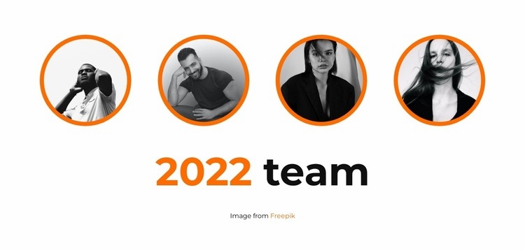 Actual team Homepage Design
