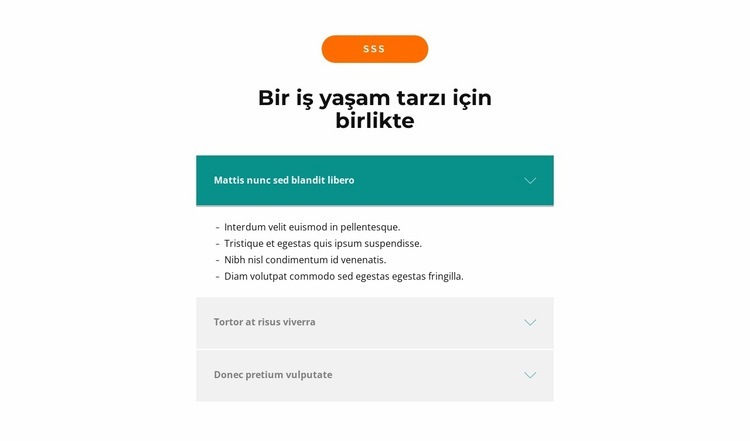 Ana Sorular HTML5 Şablonu