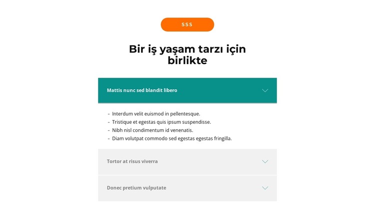 Ana Sorular Web Sitesi Şablonu