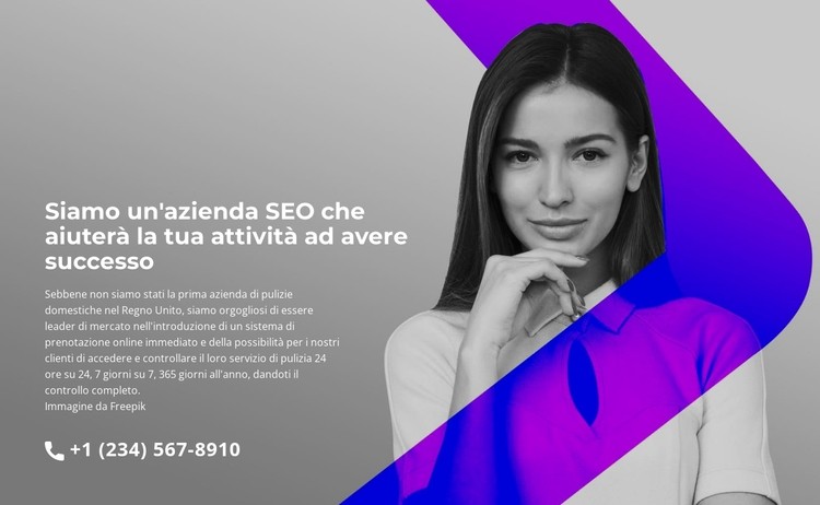 Aiuto professionale veloce Modello CSS