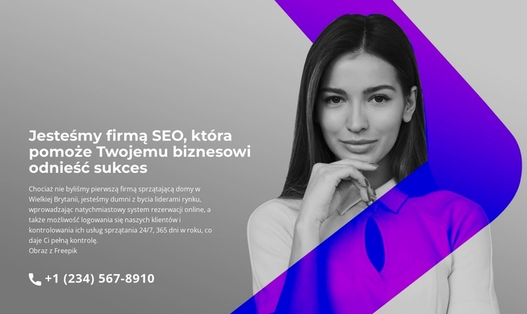 Szybka profesjonalna pomoc Szablon HTML