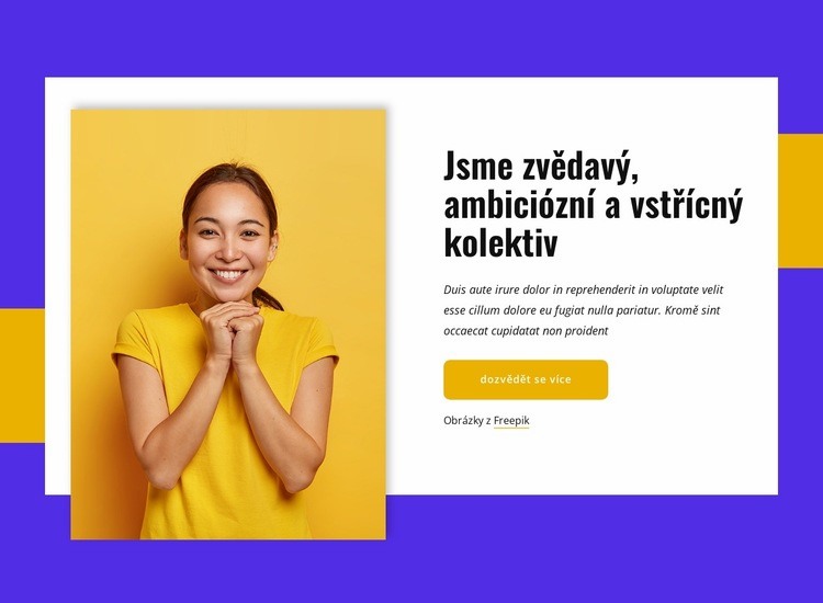 Jsme ambiciózní kolektiv Téma WordPress