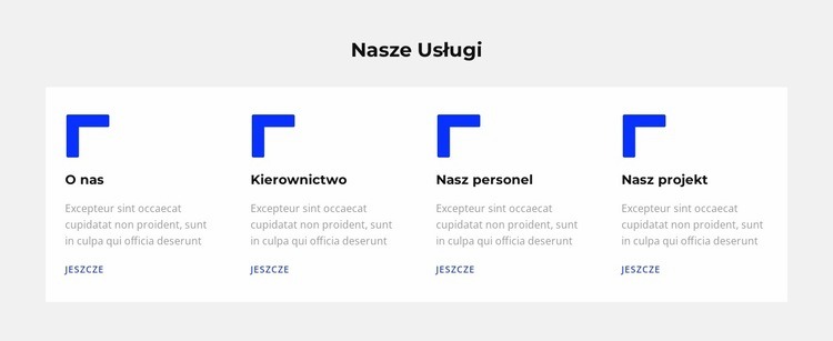 Zapewnione usługi Projekt strony internetowej