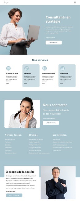 Consultants En Stratégie - Website Creator HTML