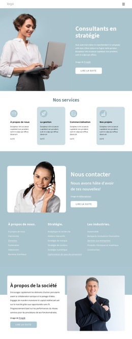 Consultants En Stratégie - Maquette De Site Web À Télécharger Gratuitement