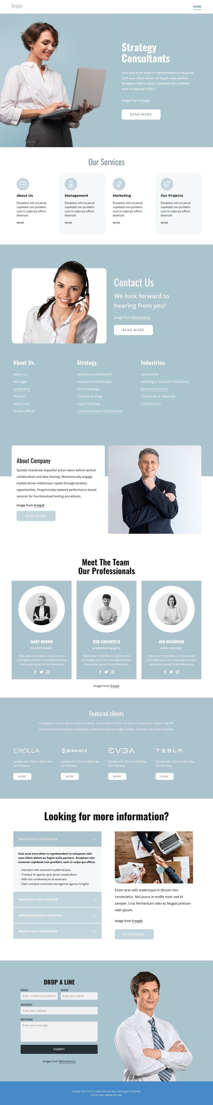 Strategy connsultants Homepage Design
