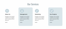 Exclusive Landing Page For Management And Marketing