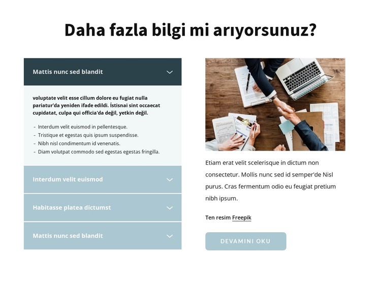 Daha fazla bilgi CSS Şablonu