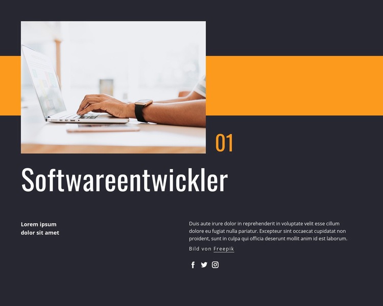 Softwareentwickler Website-Modell