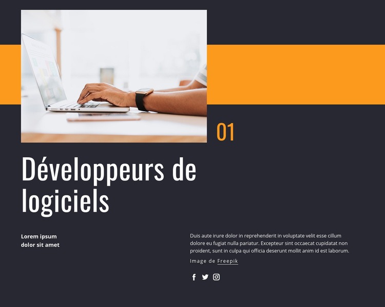 Développeurs de logiciels Conception de site Web