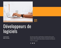 Développeurs De Logiciels