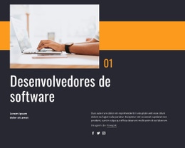 Desenvolvedores De Software