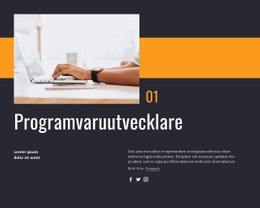 Sidans HTML För Programvaruutvecklare