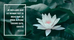 La Beauté De Notre Nature - Inspiration Pour La Conception De Sites Web