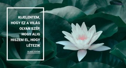 Természetünk Szépsége – Webhelytervezési Inspiráció