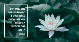 La Bellezza Della Nostra Natura - HTML Generator Online