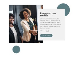 Programar Una Reunión - Plantilla Personalizable