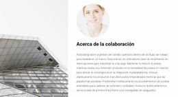 Cooperación Con Un Arquitecto - Creador De Sitios Web Adaptables