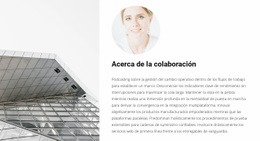 Cooperación Con Un Arquitecto - Diseño De Sitio Web Personalizado