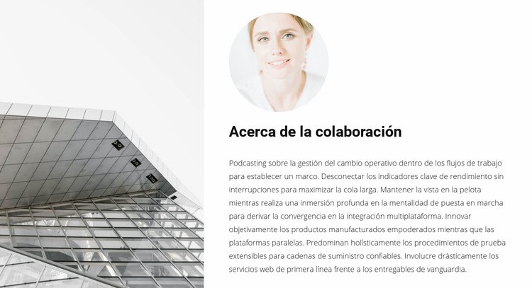Cooperación con un arquitecto Maqueta de sitio web