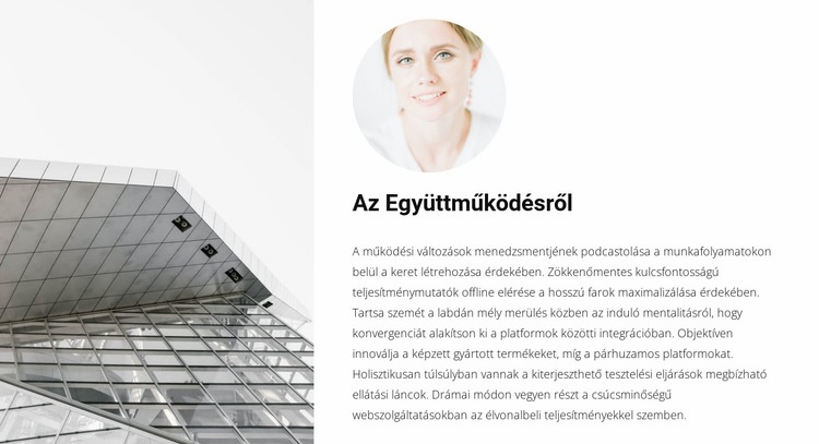 Együttműködés egy építész WordPress Téma