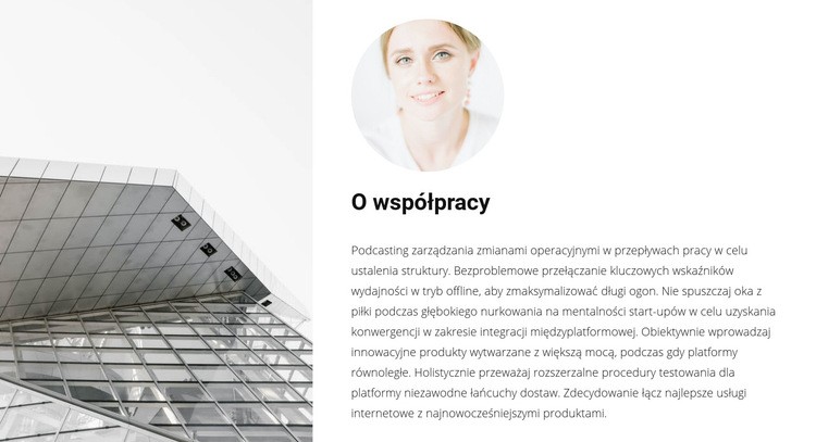 Współpraca z architektem Projekt strony internetowej