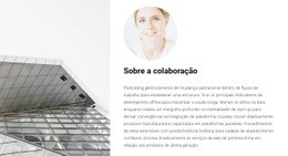 Cooperação Com Um Arquiteto - Construtor De Sites Responsivos