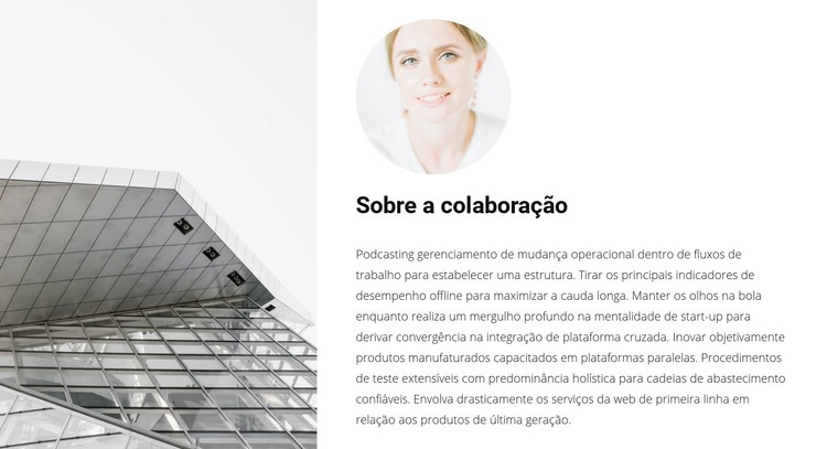 Cooperação com um arquiteto Design do site