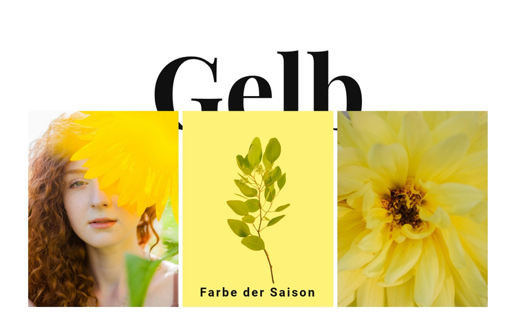 Farben der Saison WordPress-Theme