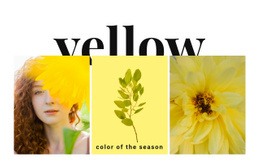 Colors Of The Season