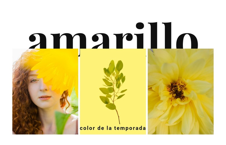 Colores de la temporada Diseño de páginas web