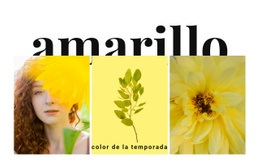 Colores De La Temporada