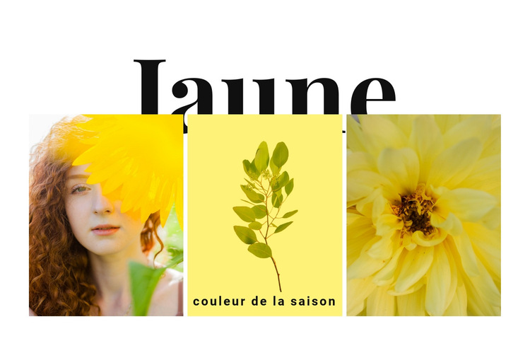 Couleurs de la saison Modèle de site Web