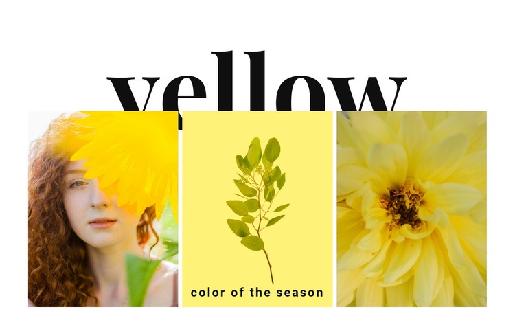 Colors of the season Homepage Design