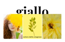 Colori Della Stagione