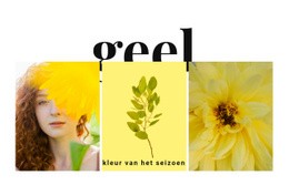 Kleuren Van Het Seizoen - Creatieve Multifunctionele Sjabloon