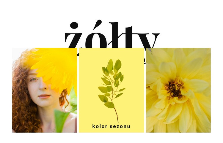 Kolory sezonu Szablon HTML5