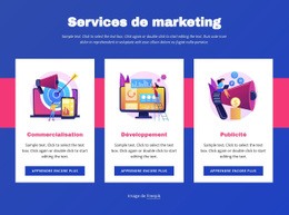 Services De Marketing