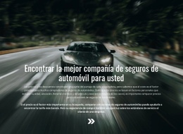 Seguro Para Tu Auto