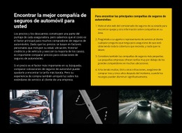 Diseño De Sitio Listo Para Usar Para Seguro De Auto