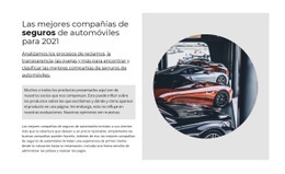 El Mejor Seguro De Auto - Diseño Profesional Personalizable