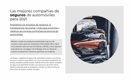 Página De Inicio Del Sitio Web Para El Mejor Seguro De Auto