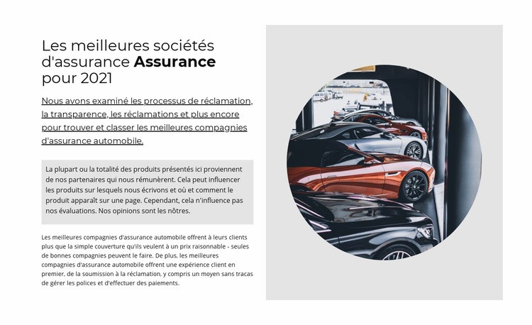 Meilleure assurance automobile Maquette de site Web