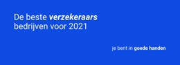 Betrouwbare Verzekering - Eenvoudig Te Gebruiken Websitemodel