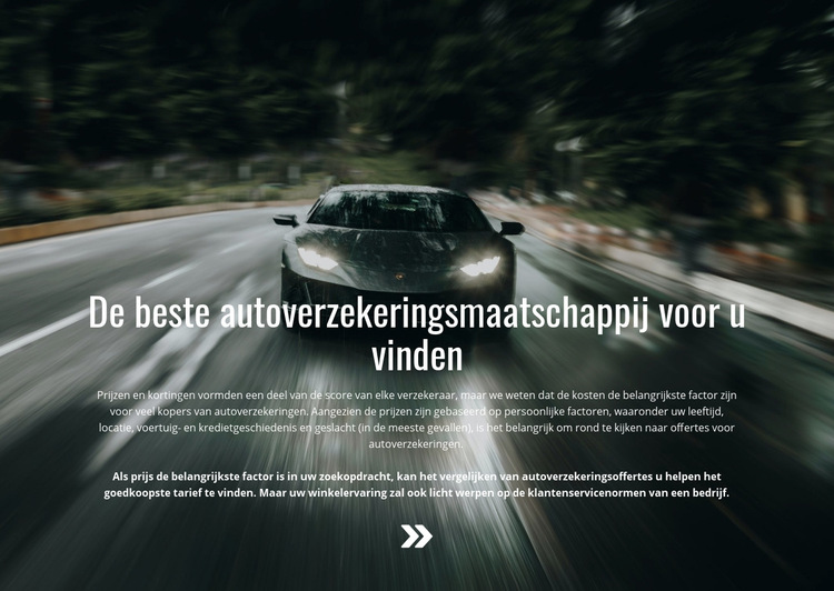 Verzekering voor uw auto Website sjabloon