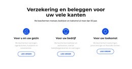 Verzekering En Investeringen - Aanpasbare Sjabloon